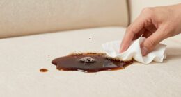 act quickly to clean