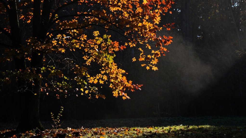 contrast enhances visual communication