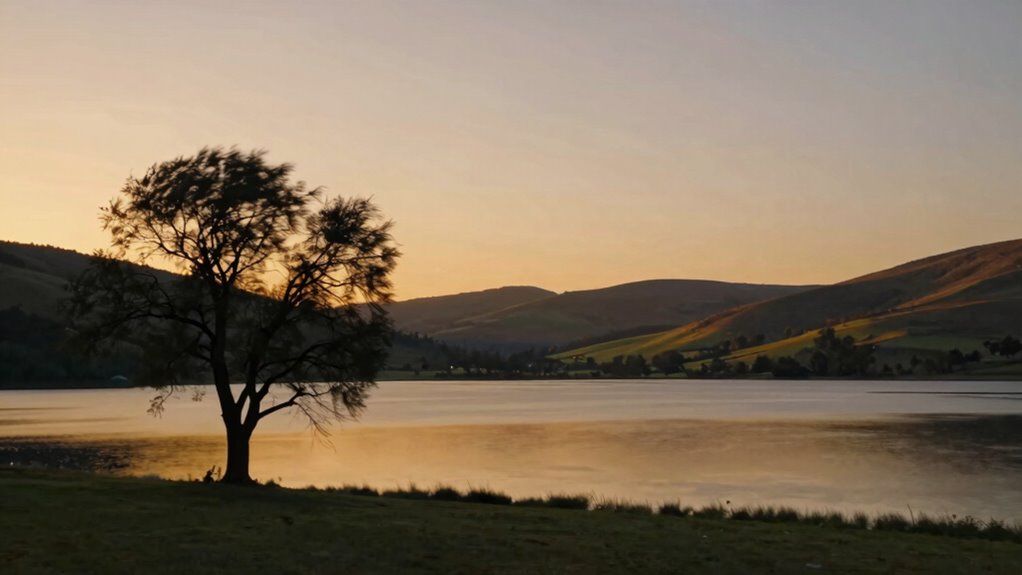 frame rates and realism