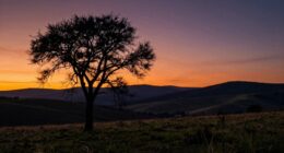 improve visual contrast easily