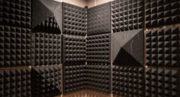 top corner bass trap picks