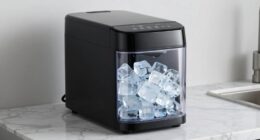 top nugget ice makers