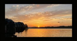 understanding black bar usage