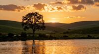 understanding visual storytelling techniques