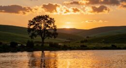 understanding visual storytelling techniques