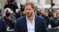 Prince Harry Surges In Global Coverage