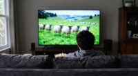 Black Sheep (4K Ultra HD) $16